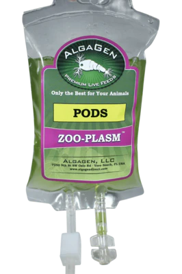Fresh ZooPLASM Copepods
