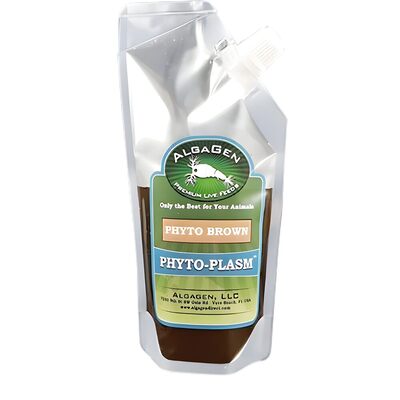 Phyto-Plasm™ Phyto Brown