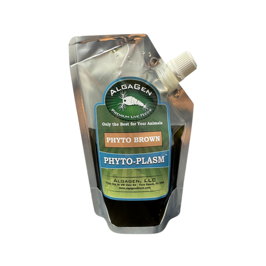 Phyto-Plasm™ Phyto Brown