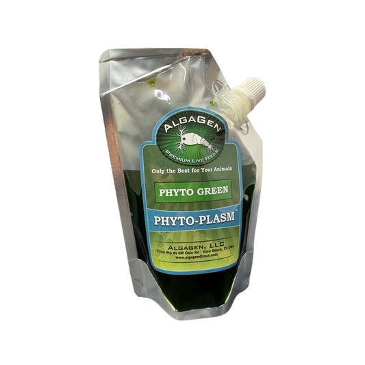 Phyto-Plasm™ Phyto Green