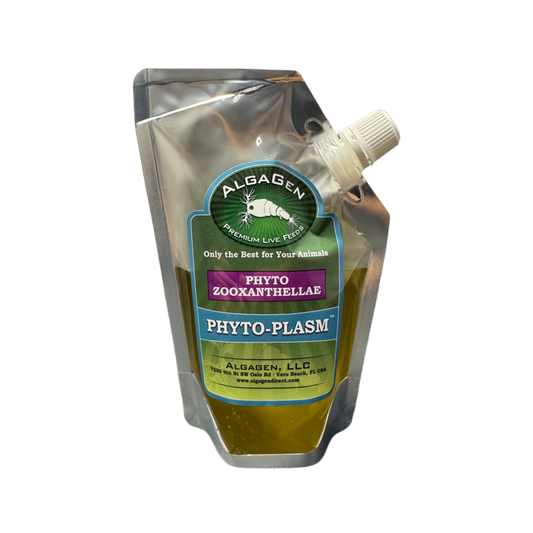 Phyto-Plasm™ Phyto Zooxanthellae