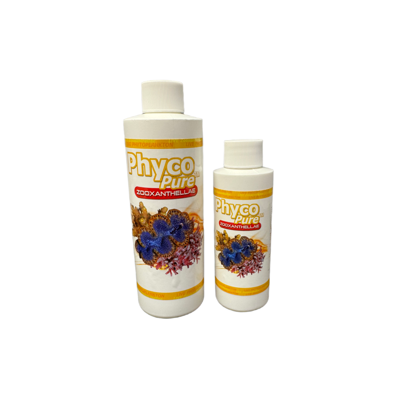 PhycoPure™ Zooxanthellae