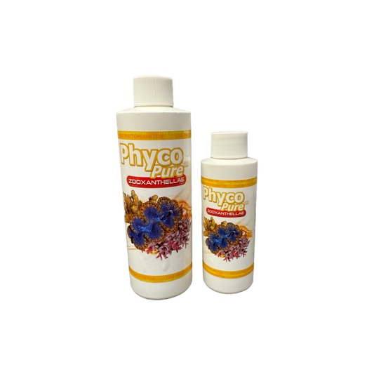 PhycoPure™ Zooxanthellae