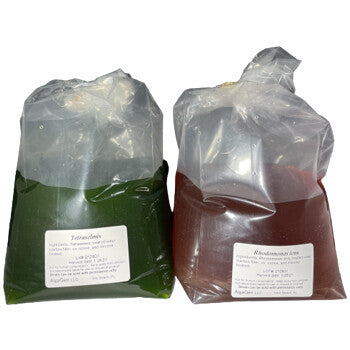 Algae Production 2L HD